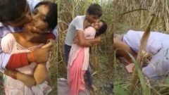 Desi Village Lover Outdoor Field Fucking Chudai